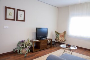Fernseher