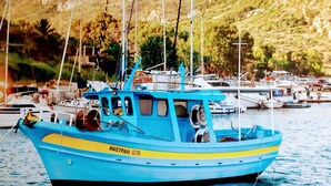 A blue boat with yellow stripes docked at a marina with other boats and a hilly landscape in the background. - Medusa Studios (Kefalonia)