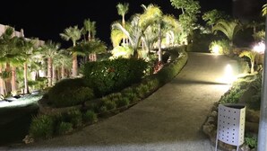 A nighttime pathway flanked by palm trees and illuminated by street lamps, leading to a building.