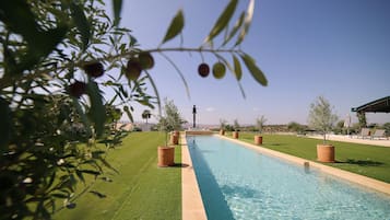 Ein Pool mit klarem, blauem Wasser, umgeben von grünem Gras und Topfpflanzen.