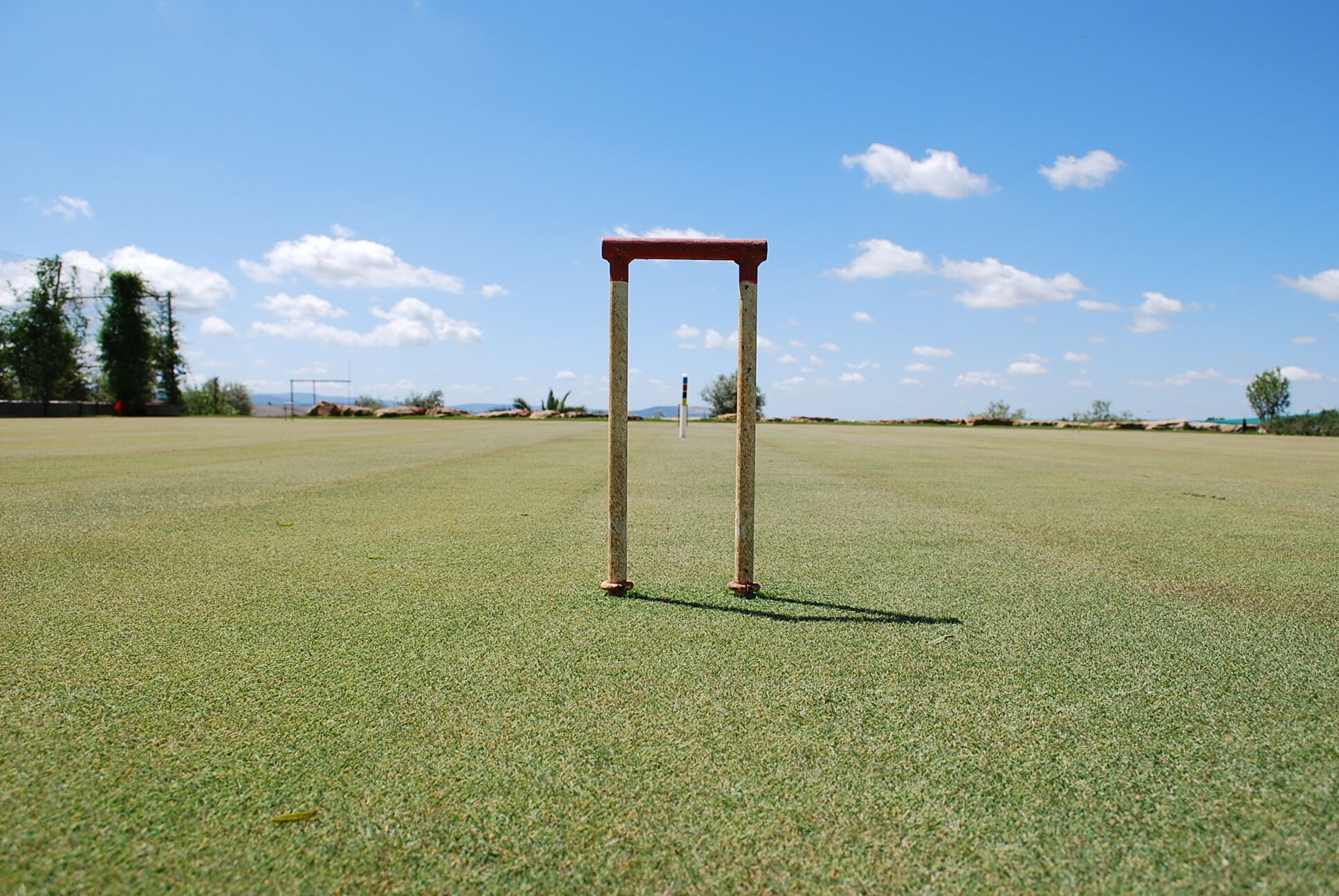 A cricket pitch with stumps and bails, surrounded by a grassy field and trees under a clear sky.