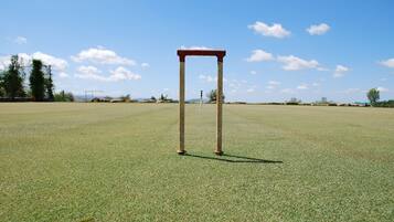 A cricket pitch with stumps and bails, surrounded by a grassy field and trees under a clear sky.