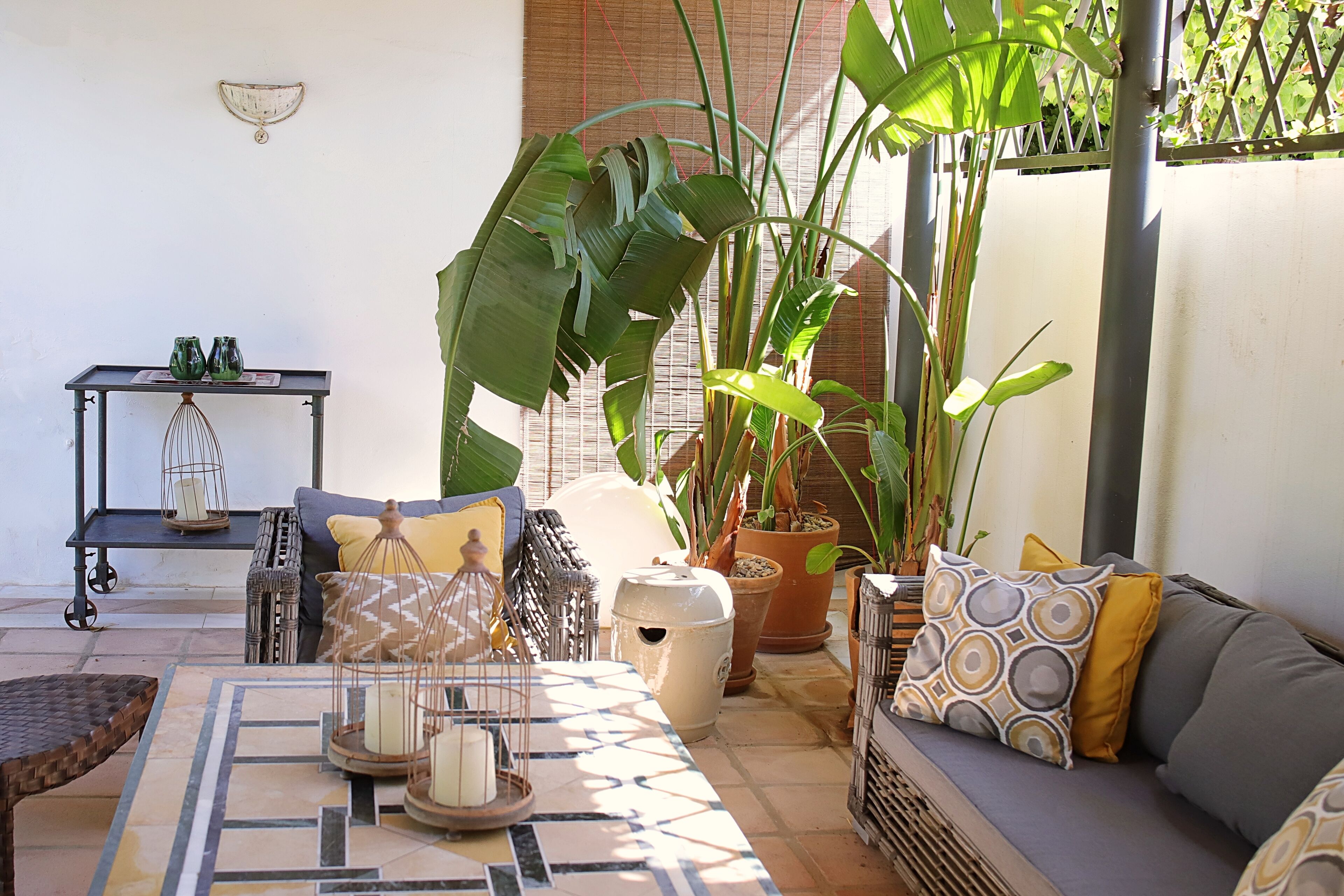 A cozy patio area with a sofa, a small table, and various potted plants.