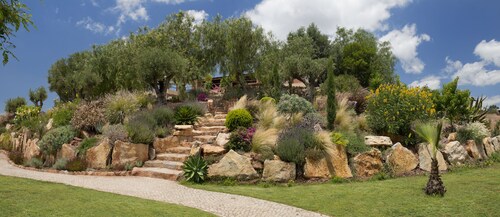 Gato Preto de Silves