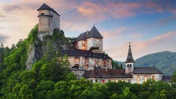 A historic castle with a prominent tower, situated on a lush green hill with dense forest.
