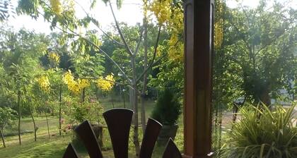 Best hostel sigiriya