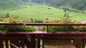 Chambre Double, balcon, vue montagne | Terrasse/Patio