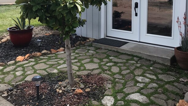 Une maison avec une terrasse dont le sol est décoré d’un motif en pierre, un pot de fleurs et une porte avec un panneau de verre.