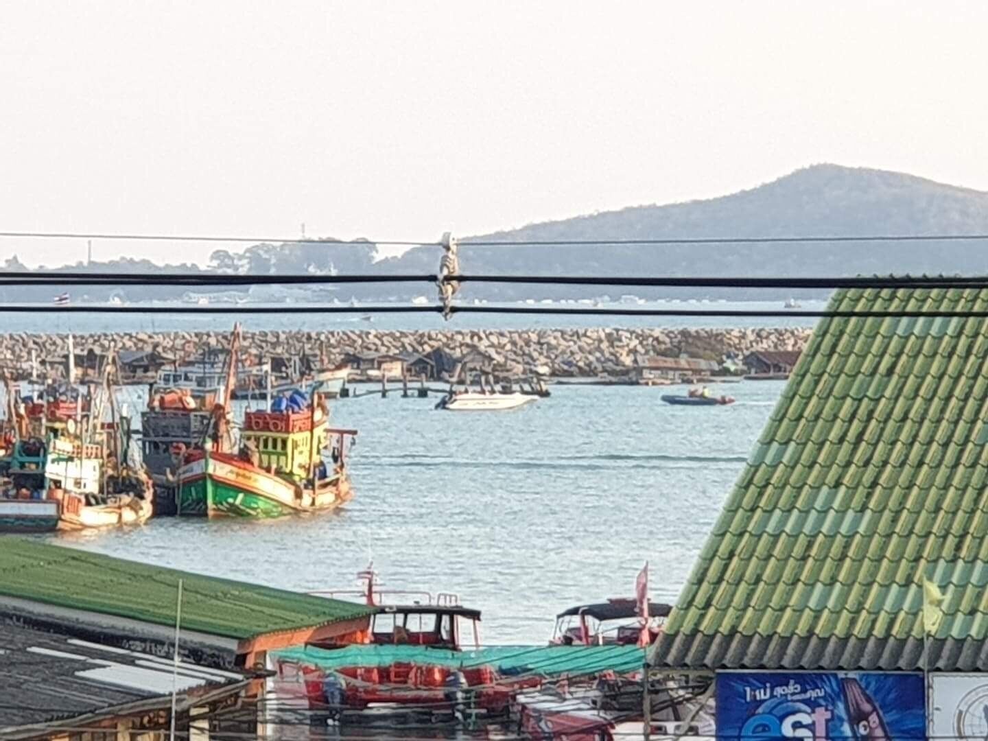 Standard Double Room | Terrace/patio