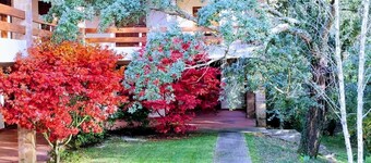 Peaceful Home and 10000 m²Private Park, near Barcelos and Viana do Castelo      