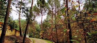 Peaceful Home and 10000 m²Private Park, near Barcelos and Viana do Castelo      