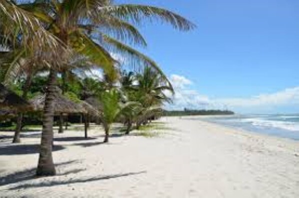 Na praia, espreguiçadeiras, toalhas de praia 