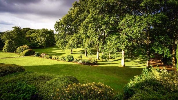 Un jardín bien cuidado con setos ordenados y diversas especies de árboles.
