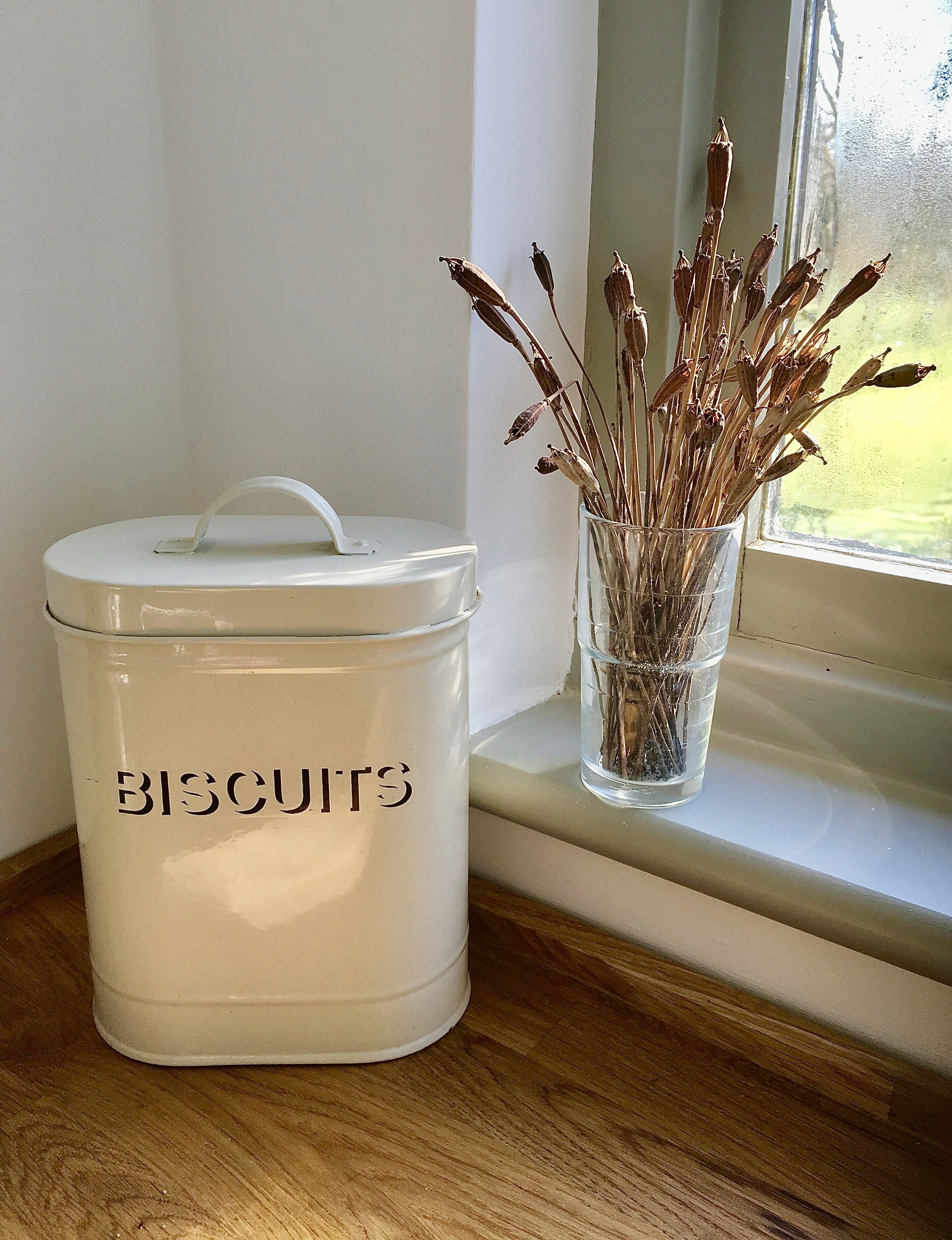 A white biscuit container with a handle and a glass vase with dried branches on a windowsill.