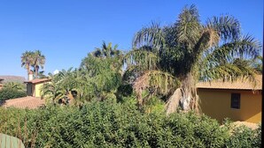 A residential area with houses surrounded by dense greenery, including palm trees and various shrubs. - Viviholidays your holiday villa (Castellammare del Golfo)
