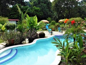 Una piscina rodeada de exuberante vegetación y mobiliario exterior.