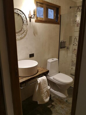 Une salle de bain avec un lavabo rond, des toilettes et un espace douche.