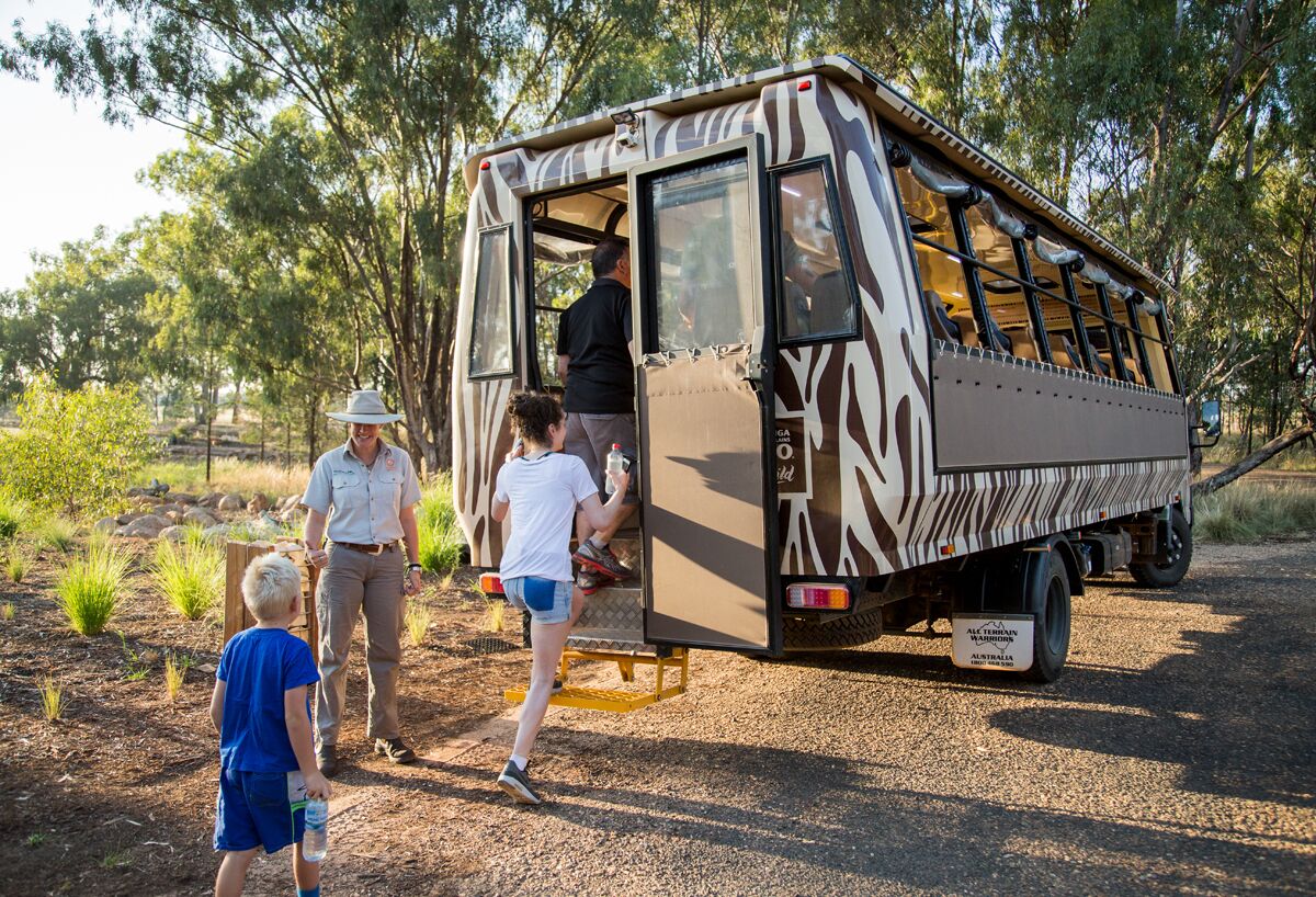A safari bus with a zebra pattern, parked outdoors with trees in the background.