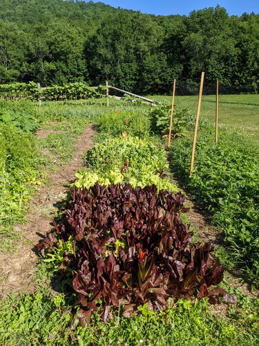 Gardening Guesthouse 