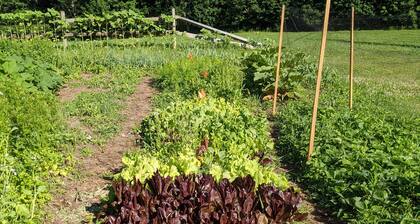 Gardening Guesthouse