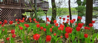 Riverside Chalet, LLC