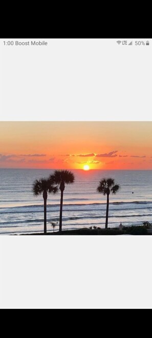 Tramonto sull'oceano con palme nere all'orizzonte.