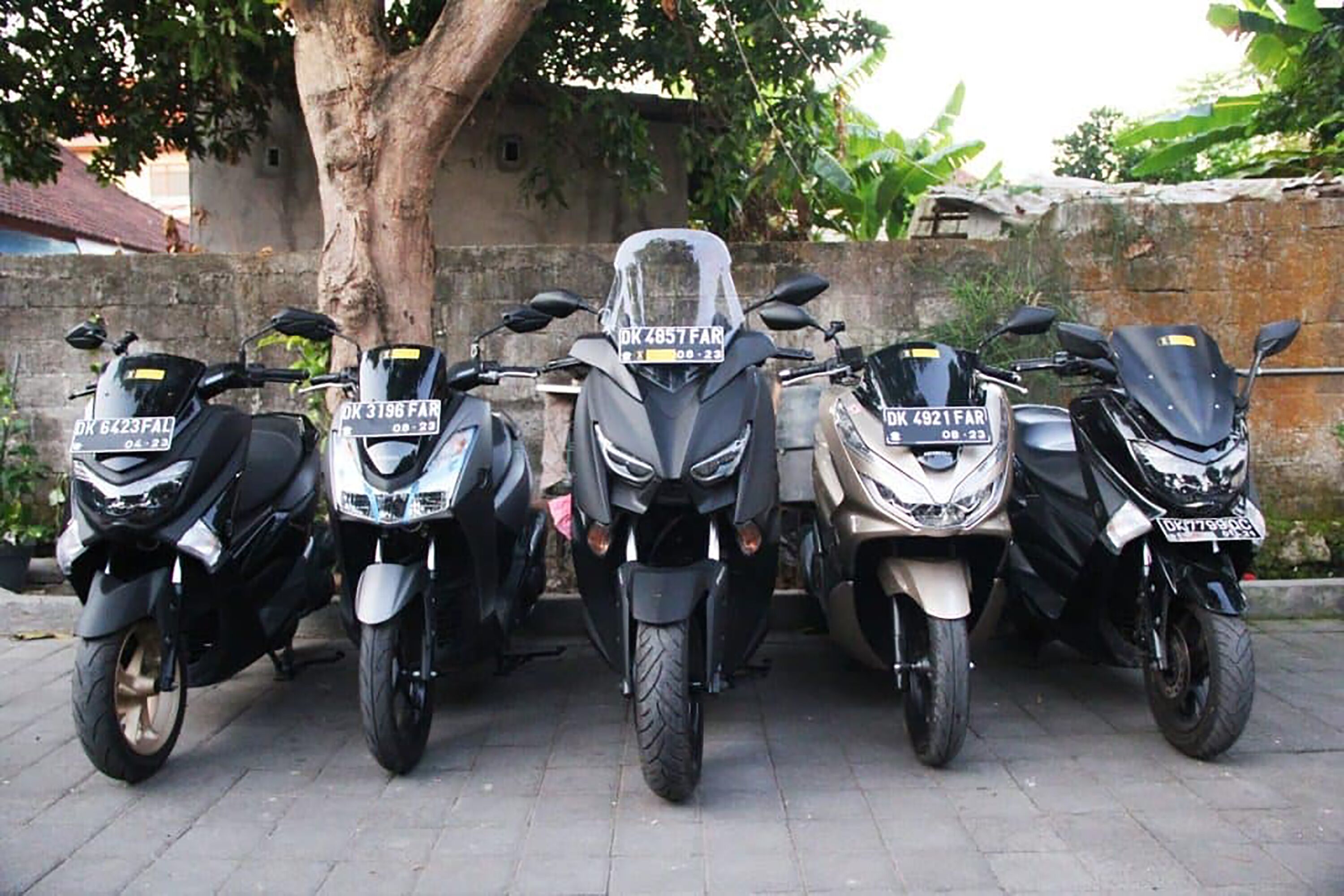 Four motorcycles parked in a row on a paved surface with a tree and a brick wall in the background.