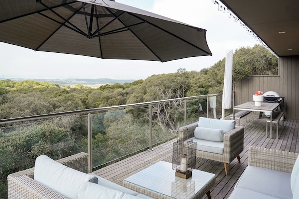 Outdoor entertaining area