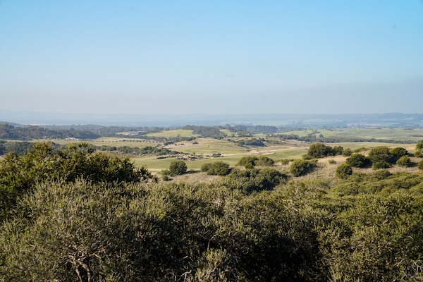 St Andrews Beach Golf 🏌️♂️ course view!
ENJOY the serenity...