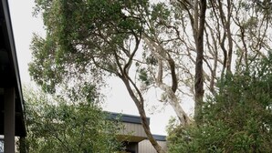 A wooden pathway leading to a modern building with a dark facade. - Salt Bush - Great views nestled  in the moonahs (St Andrews Beach)