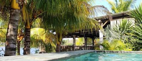 Outdoor pool, sun loungers