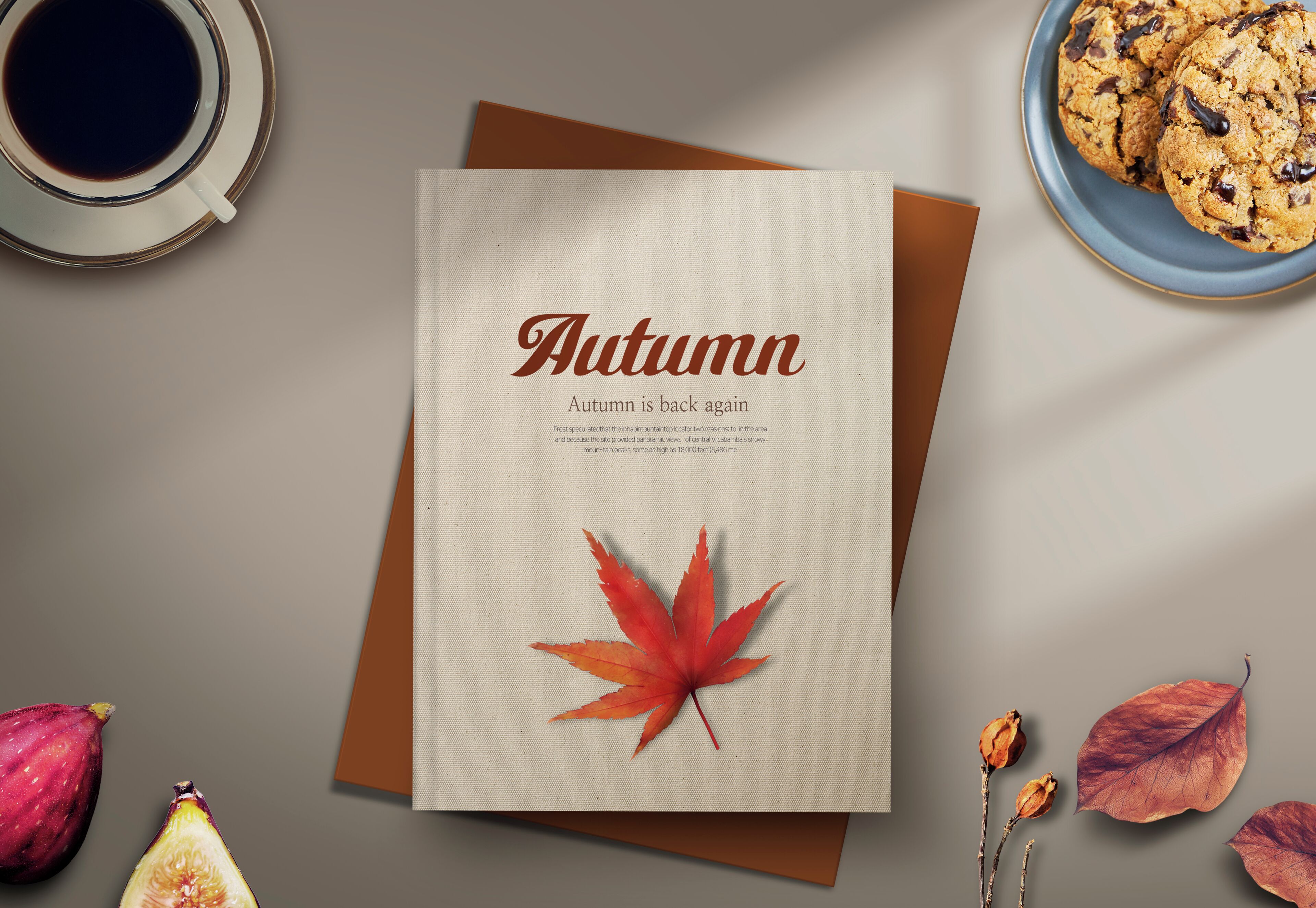 hypo-allergenic bedding, memory-foam beds, desk, laptop workspace