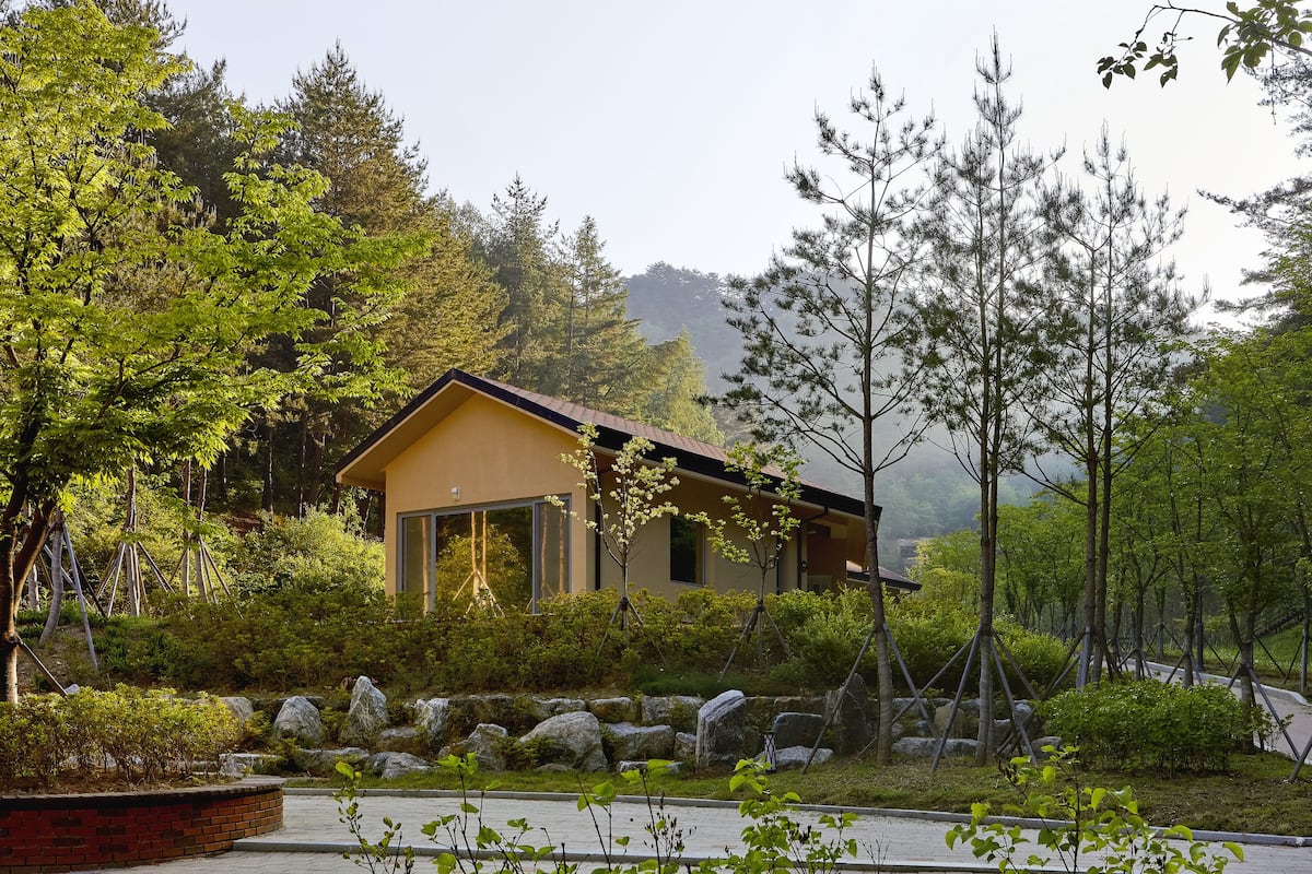 A modern house with a large glass door, surrounded by a well-maintained garden with rocks and trees.