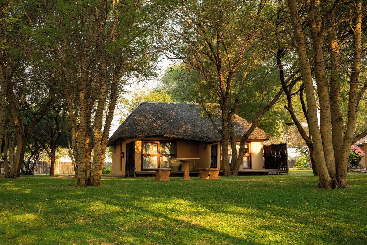 A thatched-roof house with a patio table and chairs, surrounded by trees.