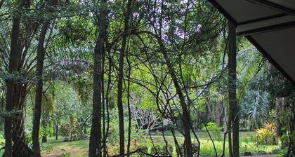 Baan Maka Nature Lodge