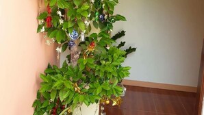 Un área de recepción con un letrero de bienvenida, una planta en maceta y un felpudo.