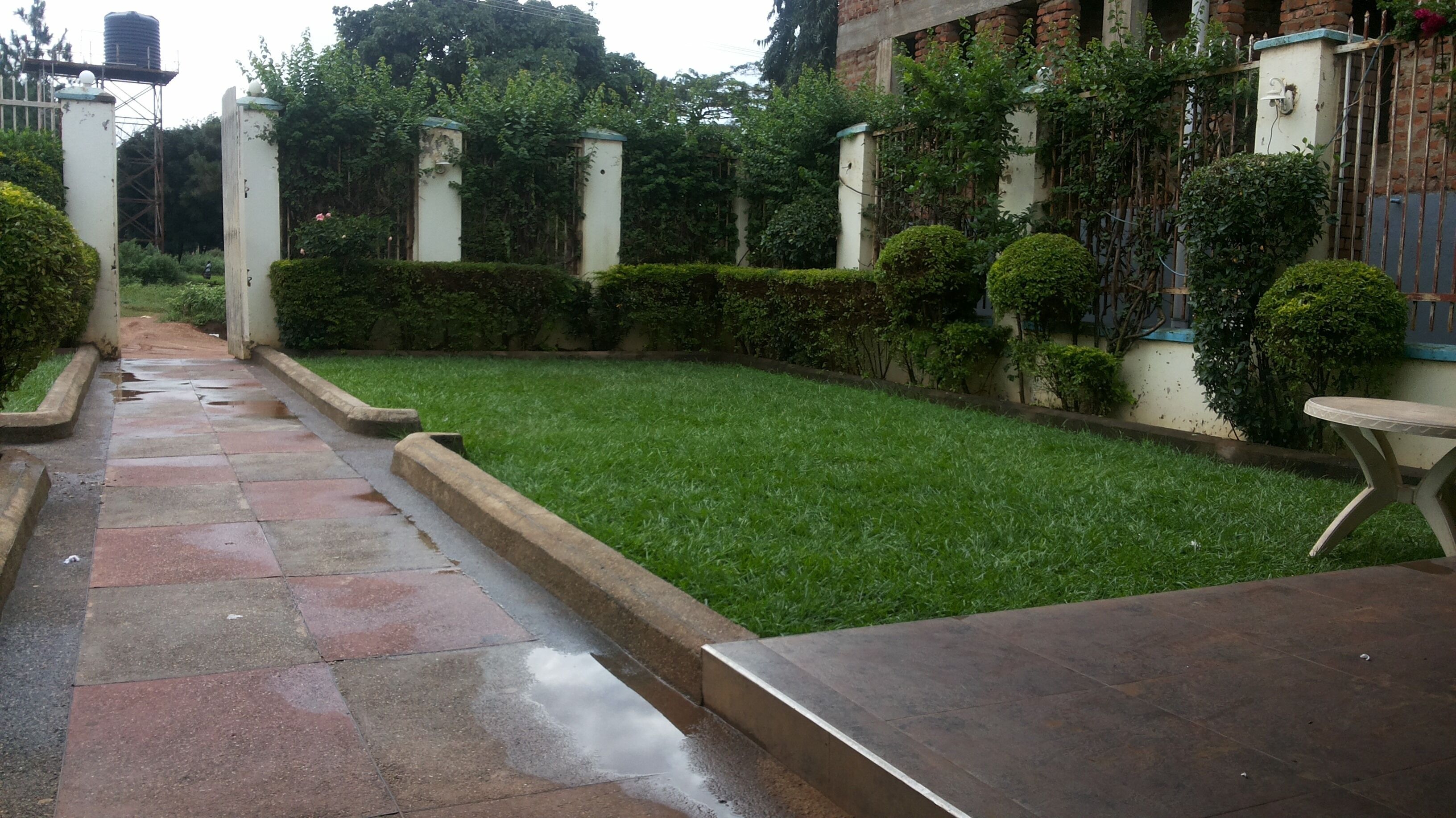 Garden view