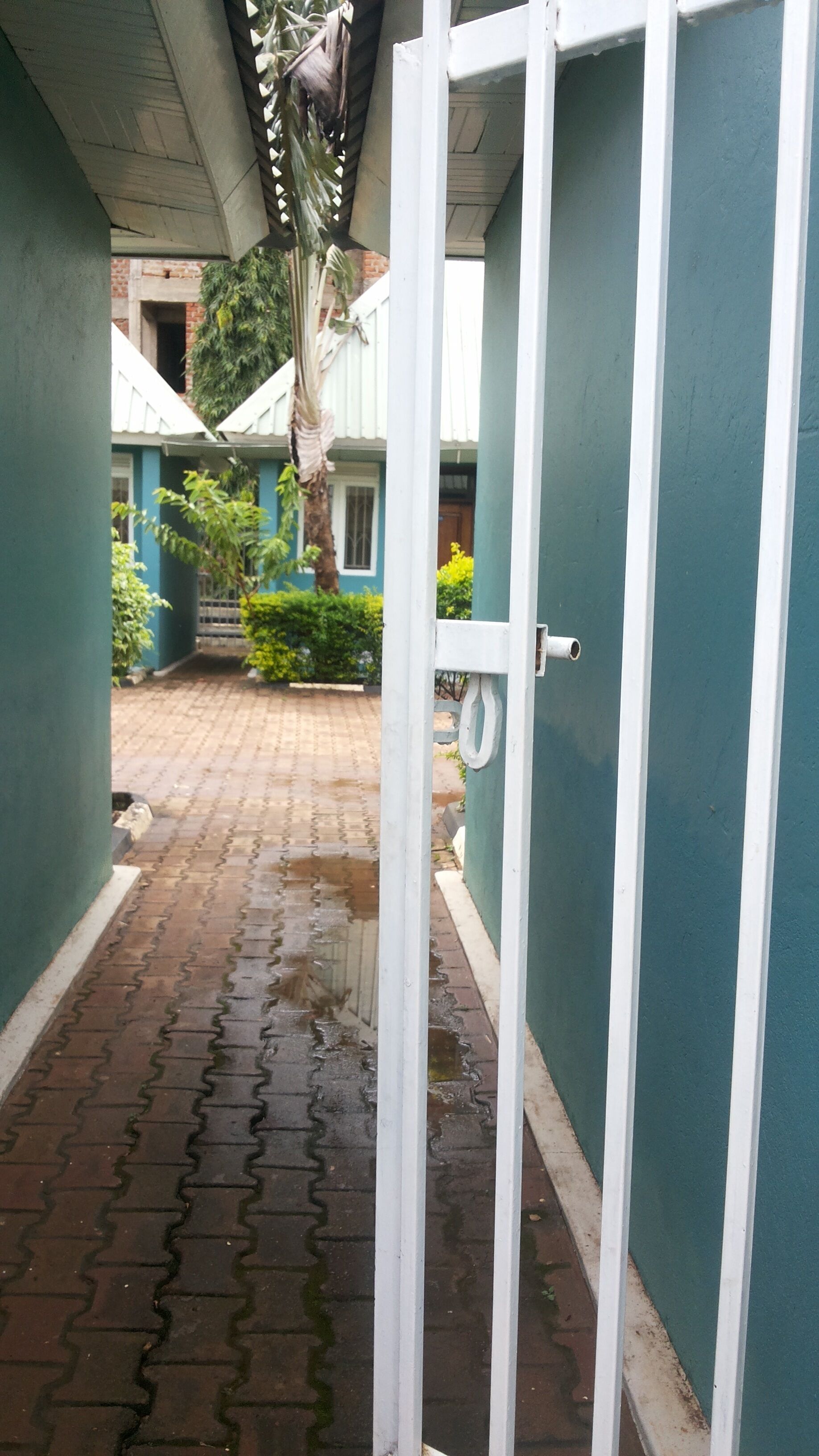 A wet brick pathway leading to a gated entrance with a metal gate and a door.