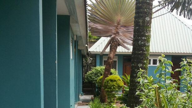 A corridor with a tiled floor, surrounded by lush greenery and a palm tree. - GAF Apartments (Nebbi)