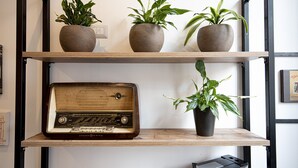 Una estantería con tres plantas en macetas y una radio antigua.