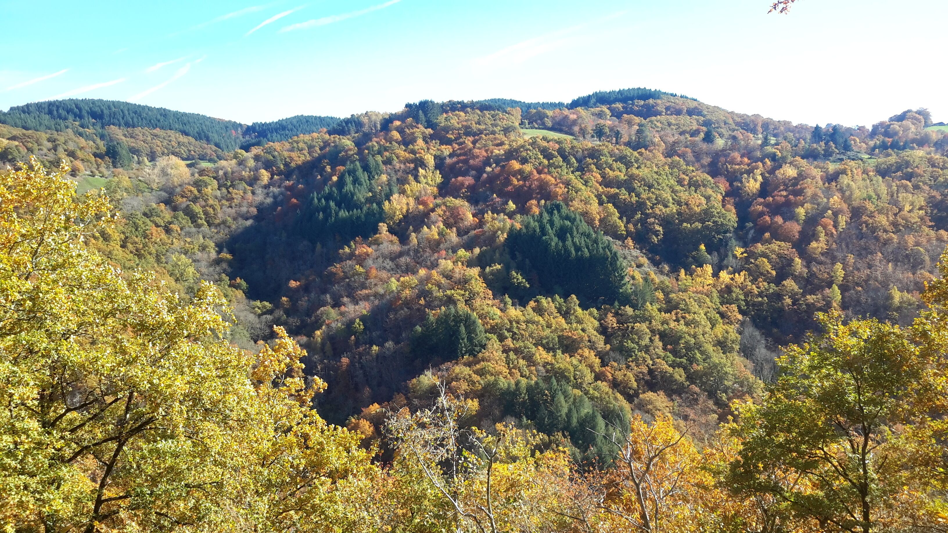 A mountainous landscape with dense forest and autumn foliage.