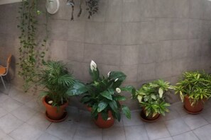Interior - "Casa carlinda" Malaga (Málaga)