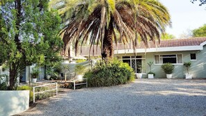 Garden - Old Umtali Guest House (Sandton)