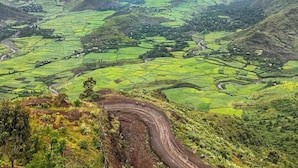 A panoramic view of a lush valley with terraced fields and a winding road. - Lalibela Roha Tour (Lalibela)