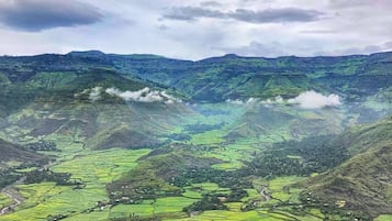 Caja de seguridad en la habitación, wifi gratis y ropa de cama