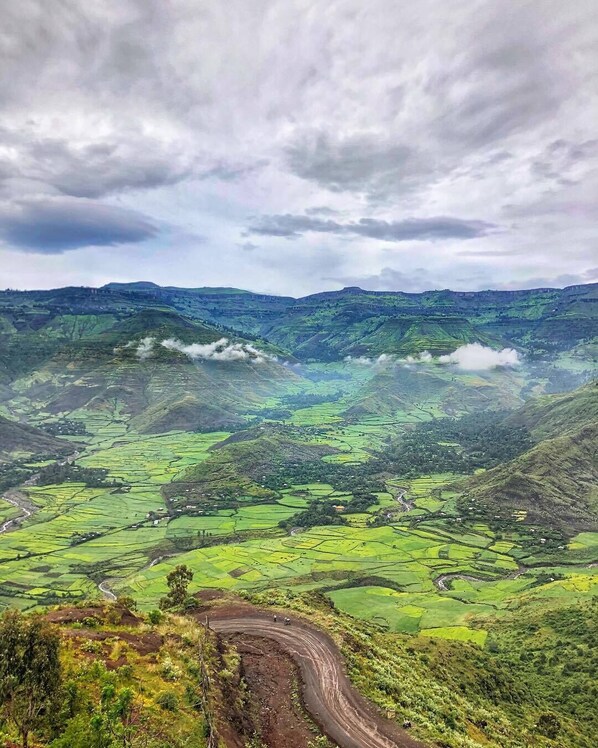 Safe på rommet, wi-fi (inkludert) og sengetøy