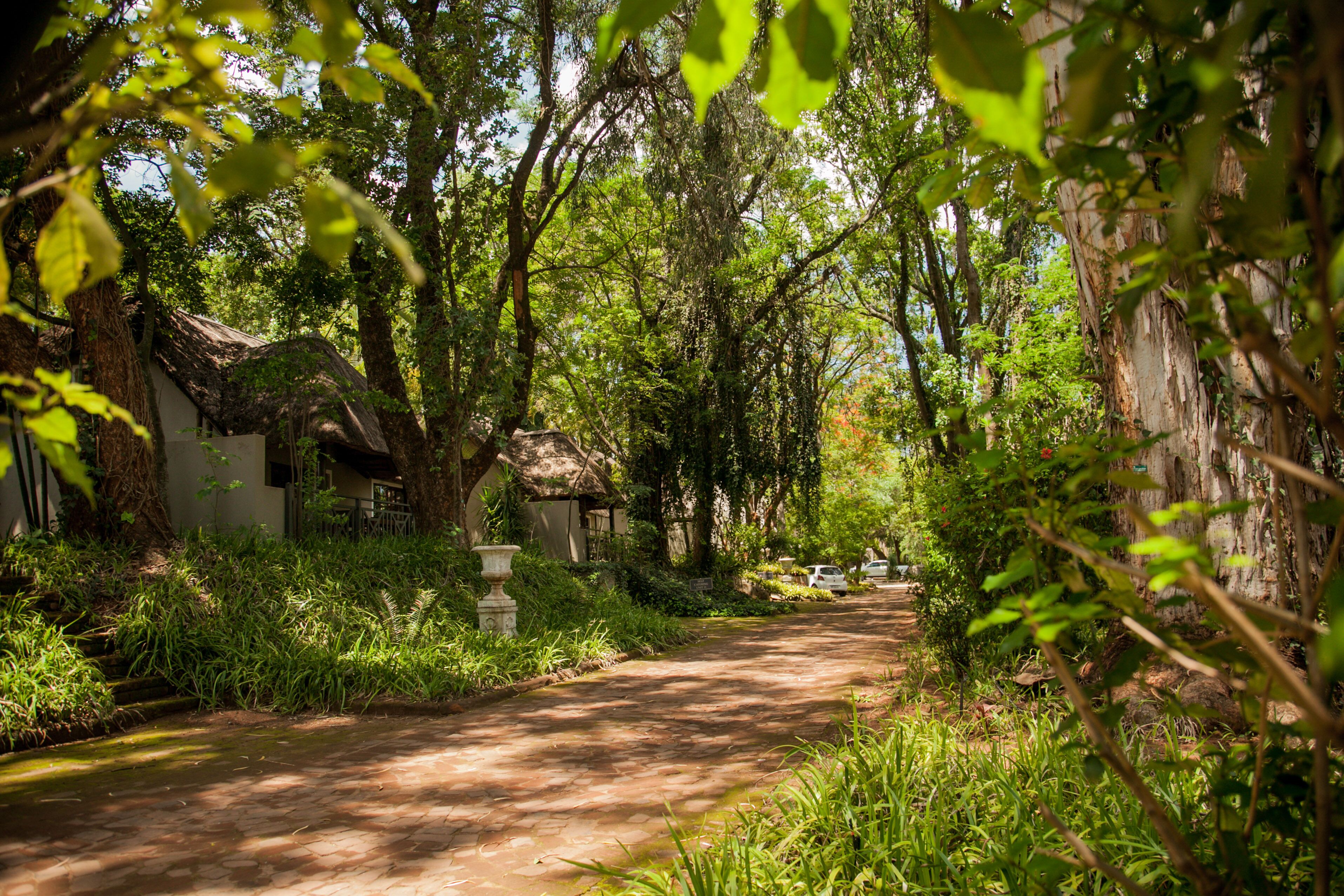 Standard Double or Twin Room, 2 Twin Beds | View from room