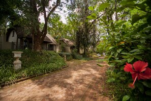 A paved pathway leading to traditional-style buildings surrounded by lush greenery and a prominent red flower. - Fairview Hotels, Spa and Golf Resort (Tzaneen)