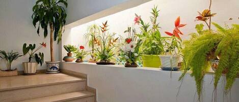 A staircase with a series of potted plants and flowers on the landing.