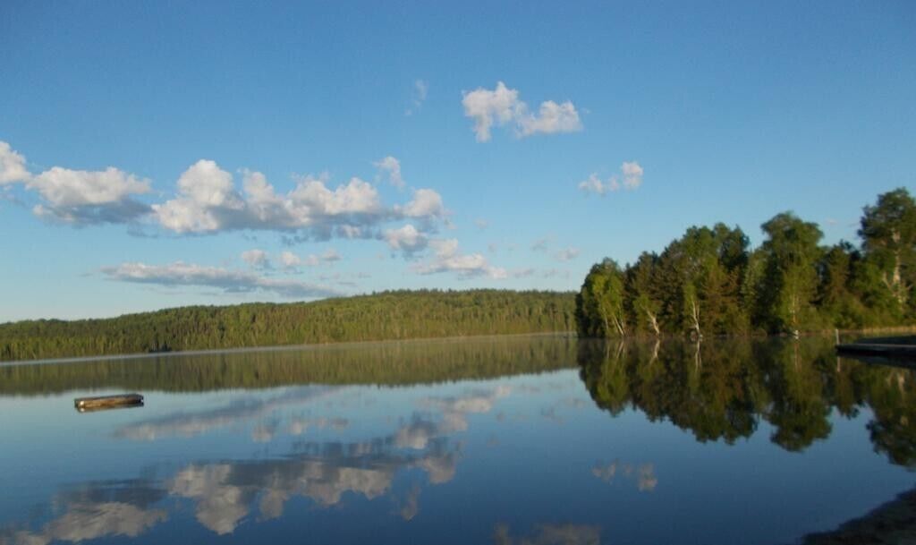 Un lago tranquilo con un reflejo nítido del cielo y los árboles, rodeado de zona boscosa.